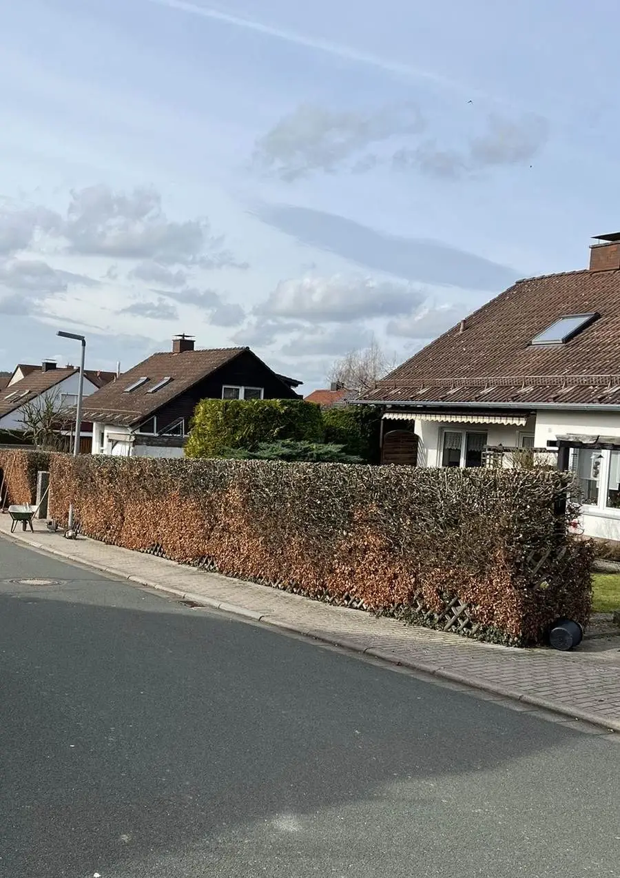 Sauber geschnittene Hecke entlang eines Gehwegs nach der Fertigstellung