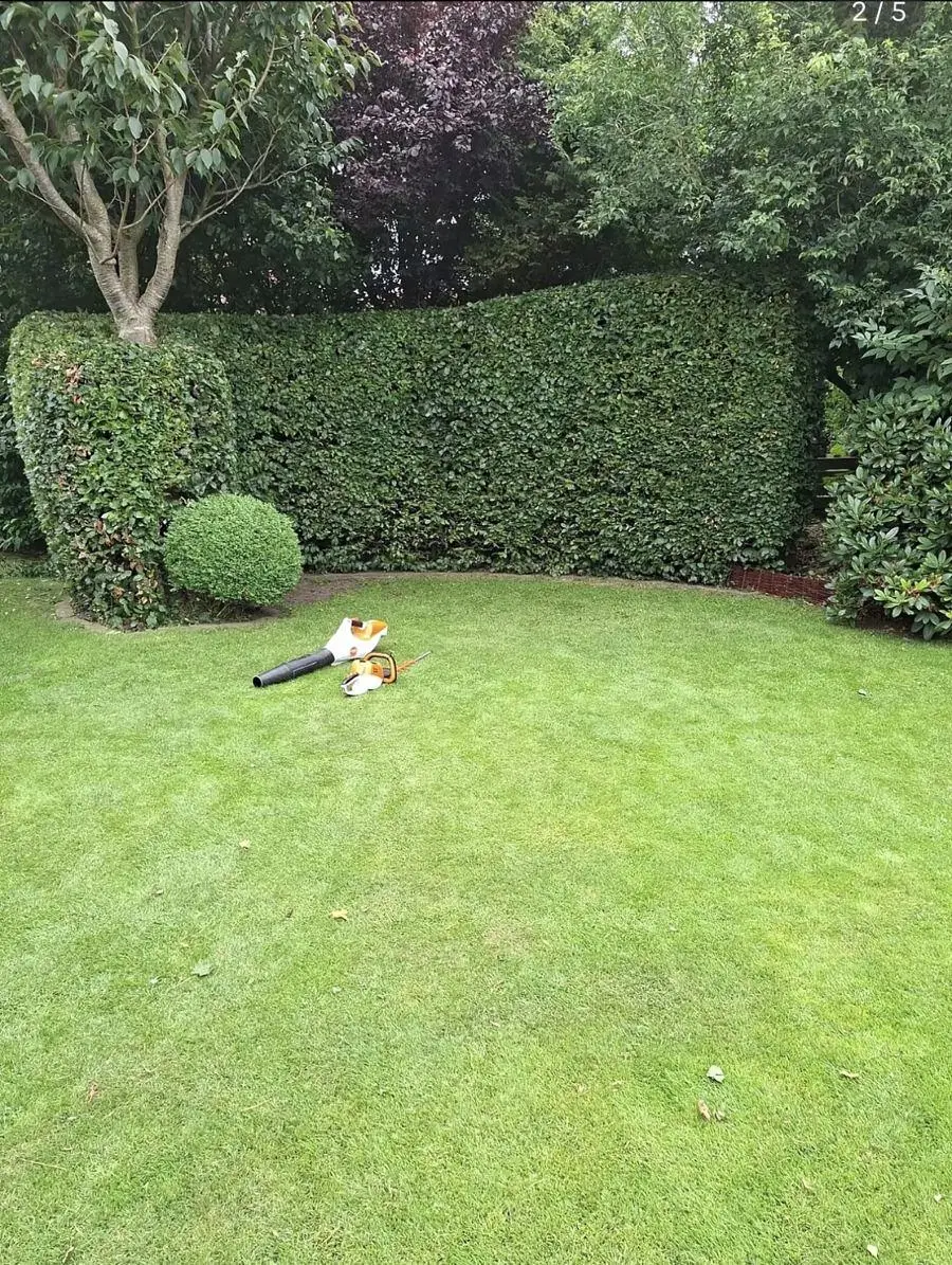 Nachher: sauber geschnittene Hecke